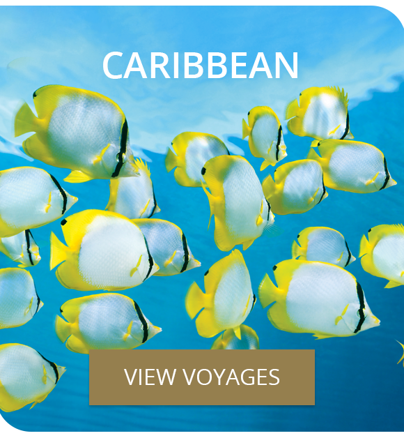 Caribbean Voyages