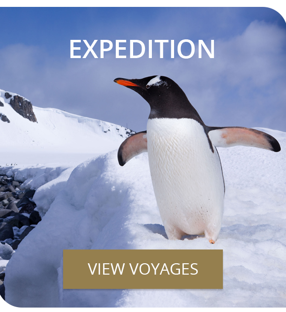 Expedition Voyages