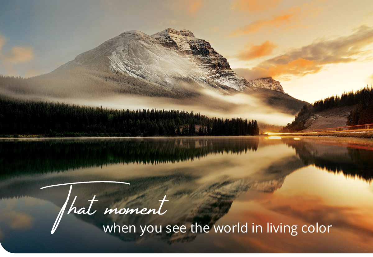That moment when you                                              see the world in living                                              color.